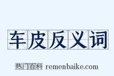 车皮反义词是什么意思的图片
